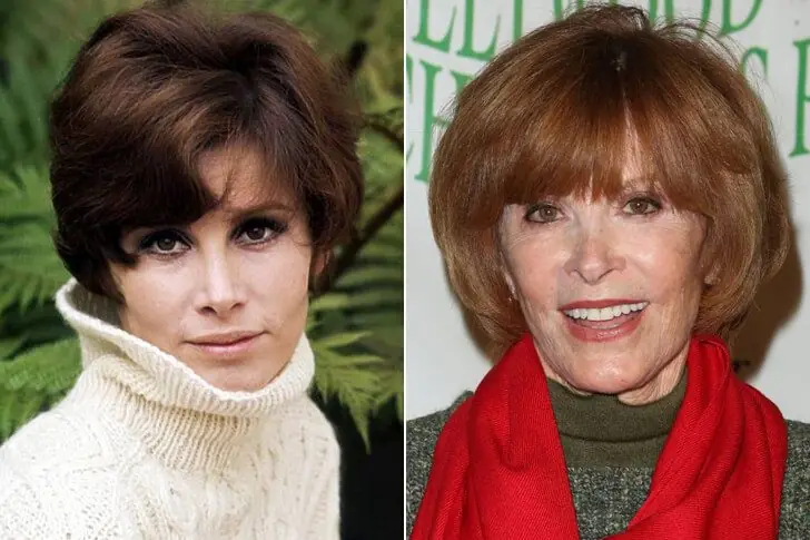 Stefanie Powers, Born in 1942 – 79 Years Old