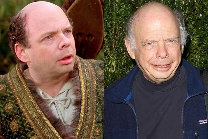 Wallace Shawn, Born In 1943 – 78 Years Old