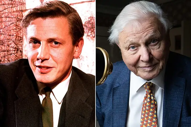 David Attenborough – Age 95