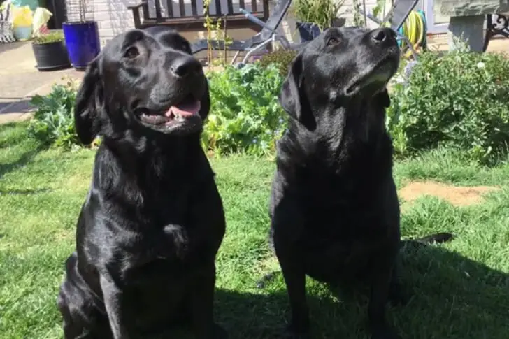 The Twins’ Spotlight