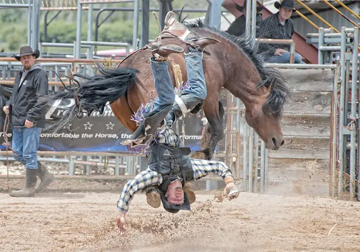 Cowboy’s Rodeo Tumble