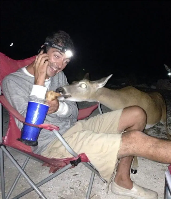 Camping Snacks Aren’t Just for Humans
