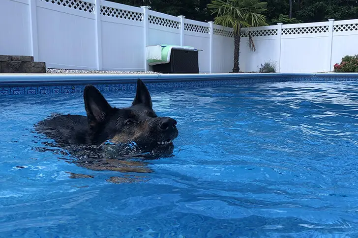 Testing the Waters