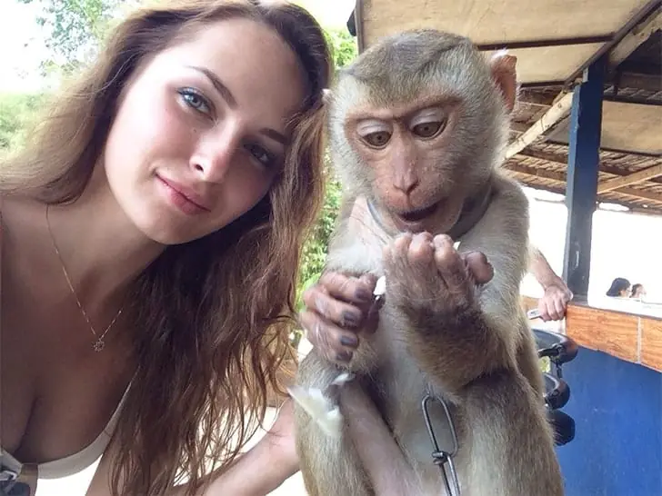 Monkeying Around