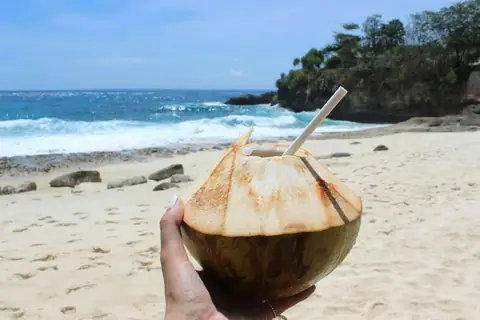The TSA Will Let You Fly With a Whole Coconut Full of Liquid, But There Is a Strict Catch