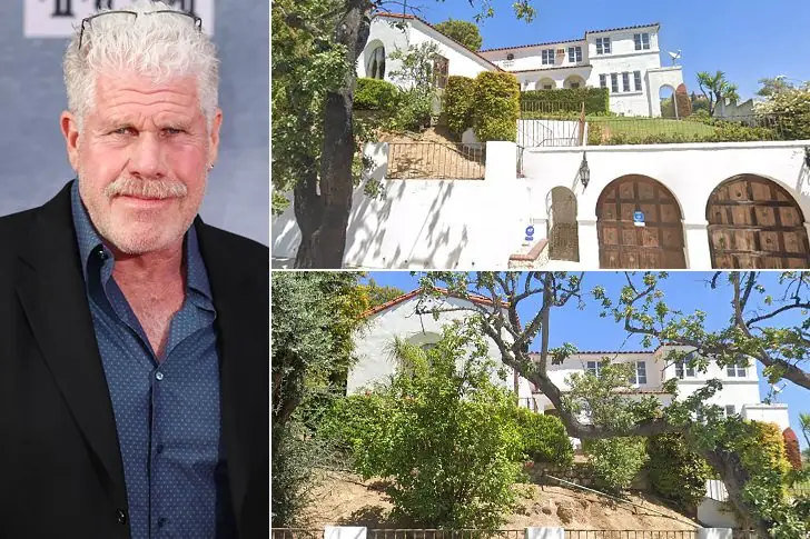 Ron Perlman – Undisclosed Price, Los Angeles