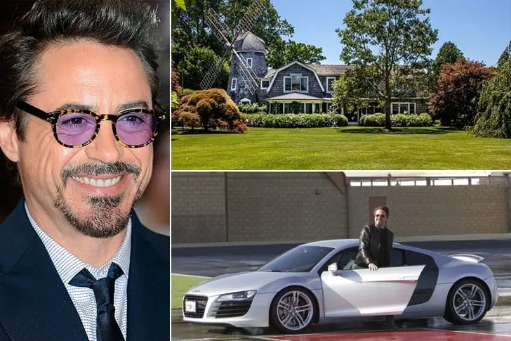 Robert Downey Jr. – 220 millions de dollars