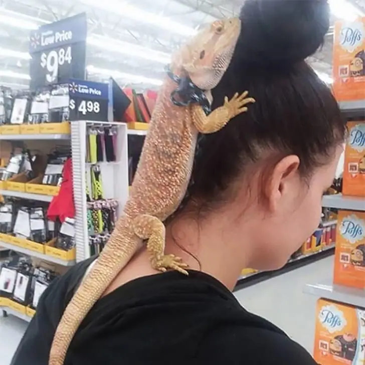 Shopping with Scales