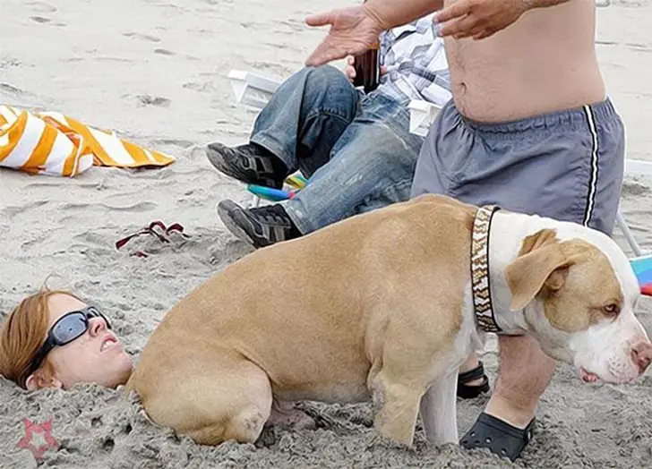 Beach Bum Meets Sandy Bum