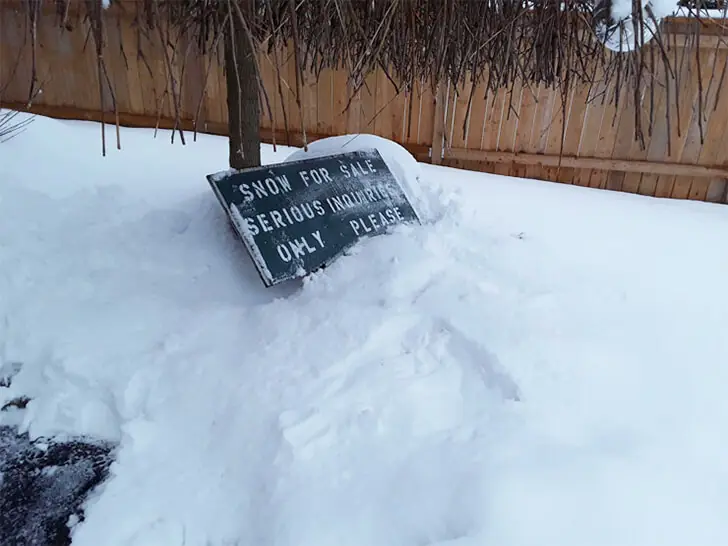 Buying Snow: Because Sometimes You Just Have To