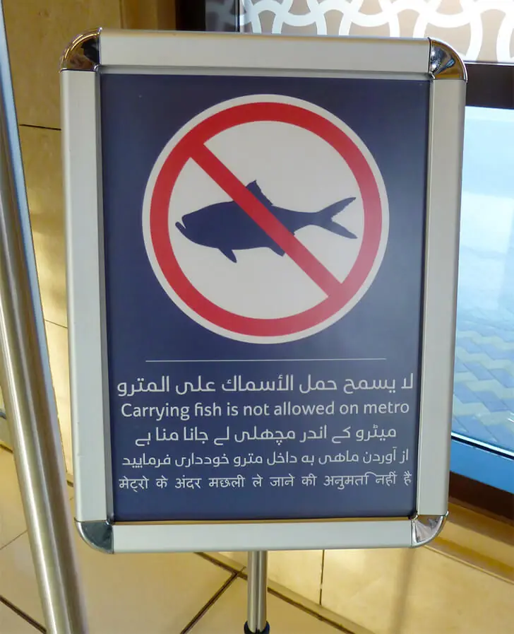 Fische verboten!