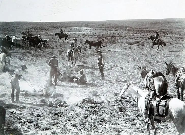 Livestock Branding – 1880s