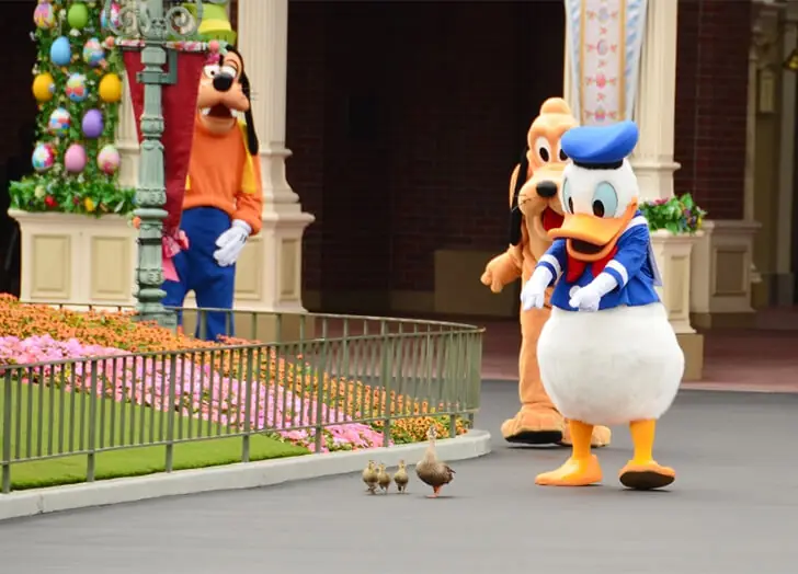 Donald laisse parler toute sa tendresse avec cette famille de canard