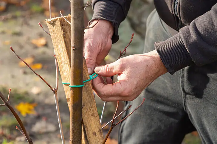 Tim jouait un grand rôle dans la réussite de la filature