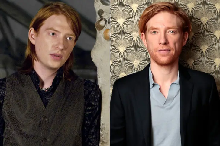 Bill Weasley – Domhnall Gleeson