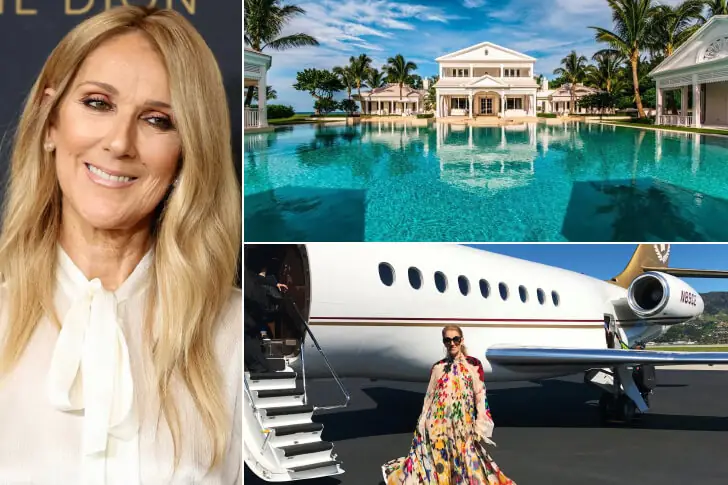 Celine Dion – $800 Million