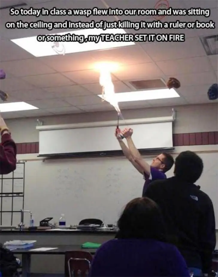 Ein hitziges Duell im Klassenzimmer