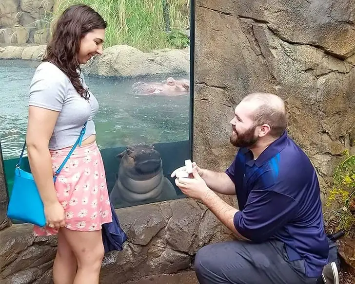 A Splashy Proposal