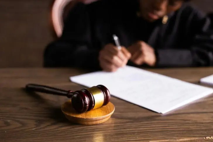 The Final Gavel on Olive’s Journey