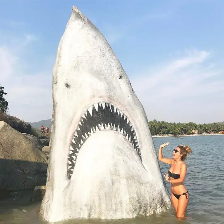 Bikini Meets Beachside Jaws