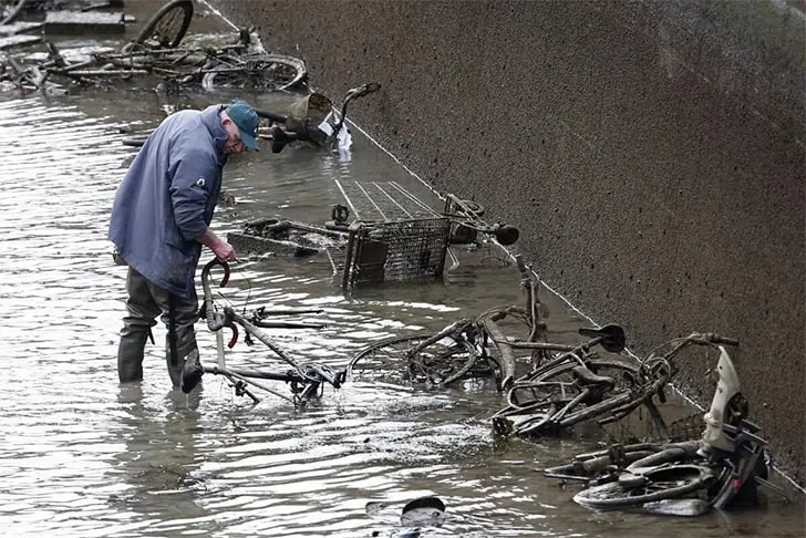 Trésors Inattendus Dans Le Canal