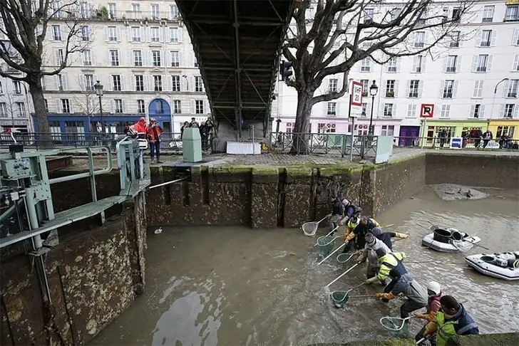 Trésors Cachés Dans La Boue