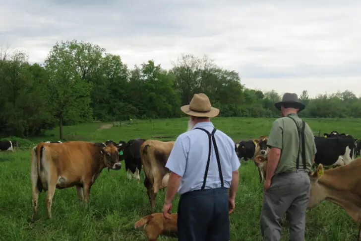 Mindful Shopping with Farm Fresh Benefits