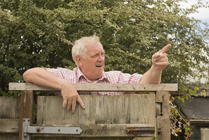 Buren Piekeren Niet Langer in het Zwembad