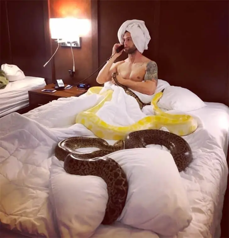 Außergewöhnliche Hotelgäste