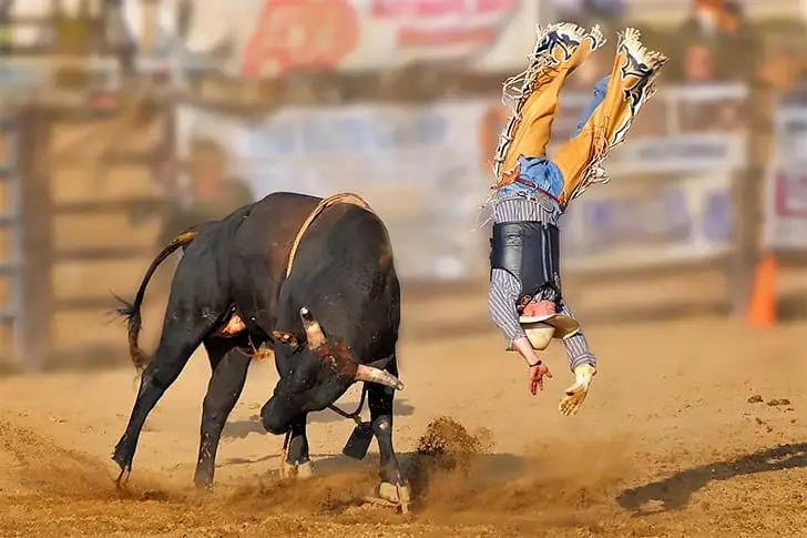 Überflieger beim Bullen-Rodeo