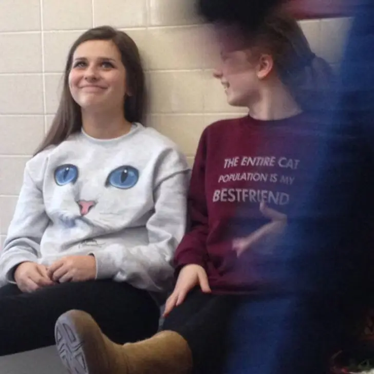 Sweater Weather for Cat Lovers
