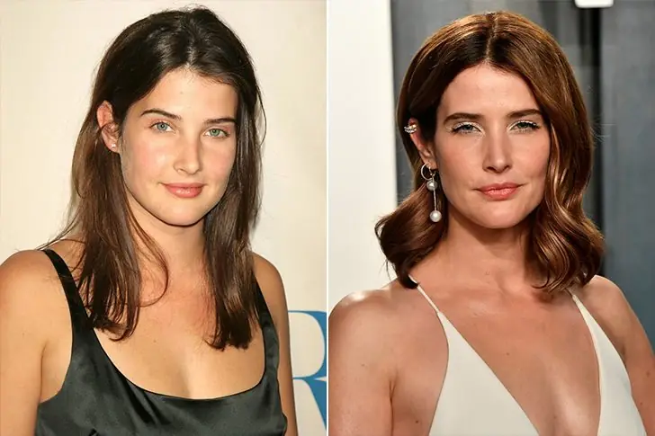 Cobie Smulders- 39 Years Old