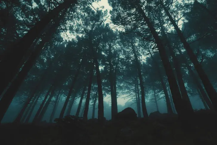 Into the Darkness Together