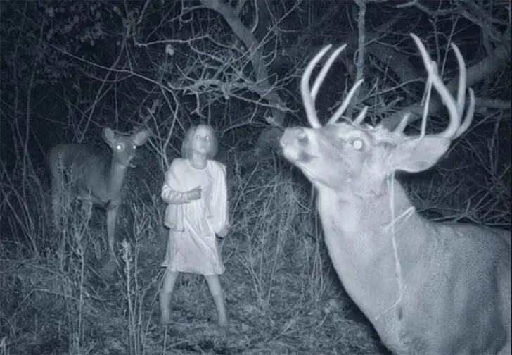 The Haunting Crew of the Woods