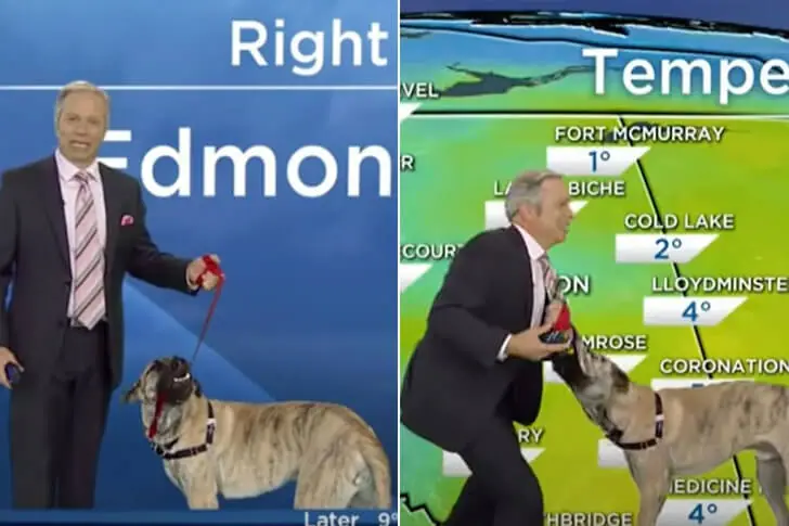 Ripple Crashes the Weather Report