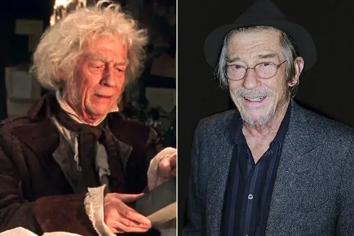 Mr. Ollivander – John Hurt