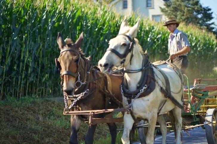 The Amish Art of Saving